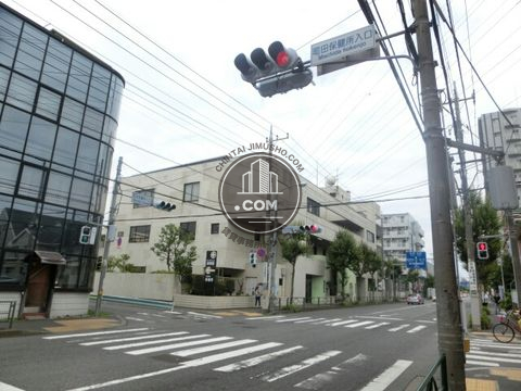 大通り
