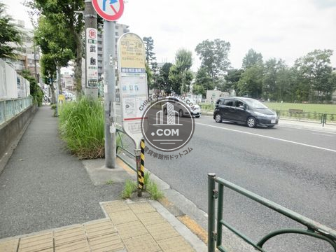 大通り