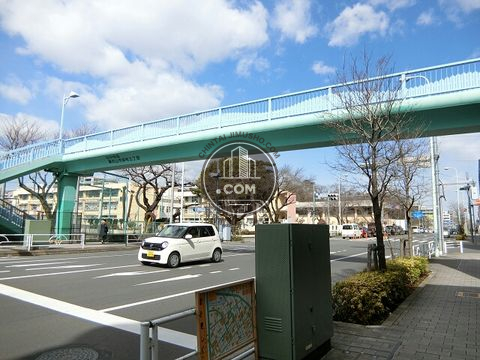 大通り