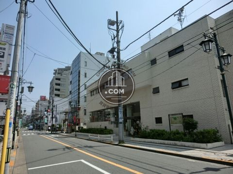 大通り