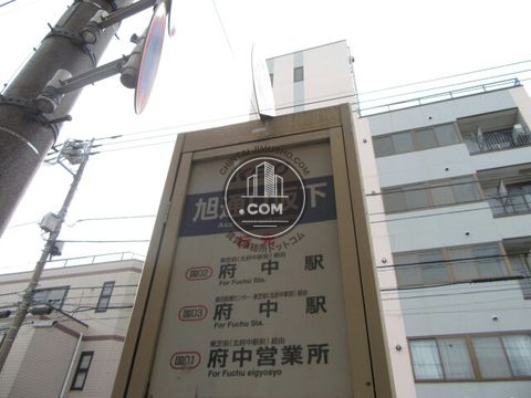 大通り