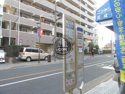 大通り