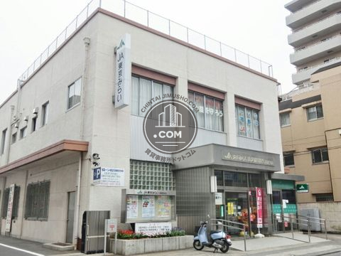 大通り