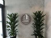 エントランスには植栽があり綺麗です