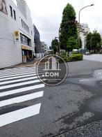 街路樹のある通りです