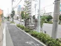 街路樹のある歩道