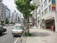 街路樹が植えられた、綺麗な歩道です